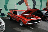 Enlarge photo 518