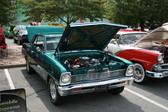 Enlarge photo 535