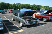 Enlarge photo 722