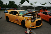 Enlarge photo 1531