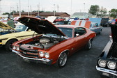 Enlarge photo 1751