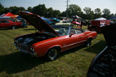 Enlarge photo 2059