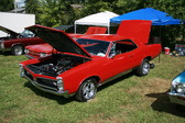 Enlarge photo 2454