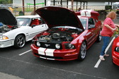 Enlarge photo 2822