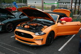 Enlarge photo 2825