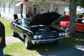 Enlarge photo 2951