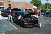 Enlarge photo 275