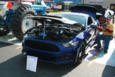 Enlarge photo 285