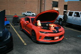 Enlarge photo 309