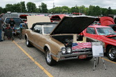 Enlarge photo 385