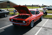 Enlarge photo 437