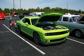 Enlarge photo 483