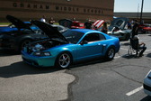 Enlarge photo 491