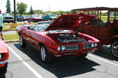 Enlarge photo 516
