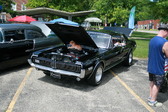Enlarge photo 525