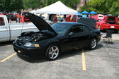 Enlarge photo 590