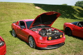 Enlarge photo 722