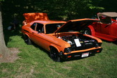Enlarge photo 734