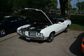 Enlarge photo 858