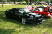 Enlarge photo 877