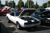 Enlarge photo 1376