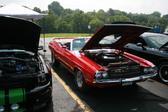 Enlarge photo 1521