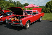 Enlarge photo 1538