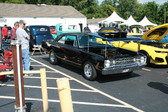 Enlarge photo 1577