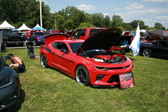 Enlarge photo 1624