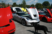 Enlarge photo 2098