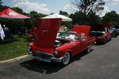 Enlarge photo 2142