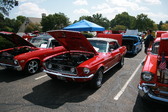 Enlarge photo 2169