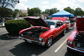 Enlarge photo 2170
