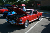 Enlarge photo 2400