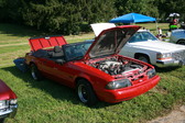 Enlarge photo 2476