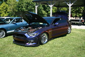 Enlarge photo 2592