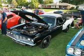 Enlarge photo 2869