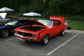 Enlarge photo 2895