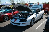 Enlarge photo 3118