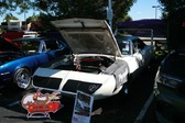 Enlarge photo 3385