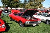 Enlarge photo 3795