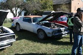Enlarge photo 3845