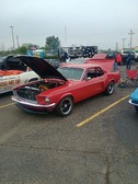 Enlarge photo 243