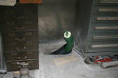 Enlarge photo 432