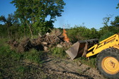 Enlarge photo 575
