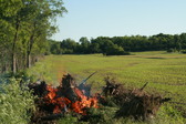 Enlarge photo 577