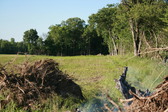 Enlarge photo 579