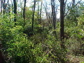 Enlarge photo 16