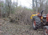 Enlarge photo 25