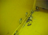 Enlarge photo 37